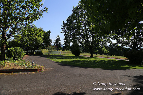 "2 Barns", "2 car garage", "40+ Acres", "PDX Zone", Pool, "White Fence", cows, "farm House", "rap around dive", "well maintained"