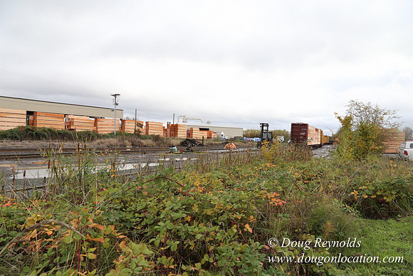 Saw Mill and Lumber Yard