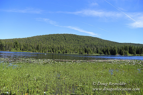 Trillium Lake-32003632