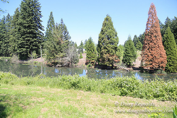 lee Farms-5268