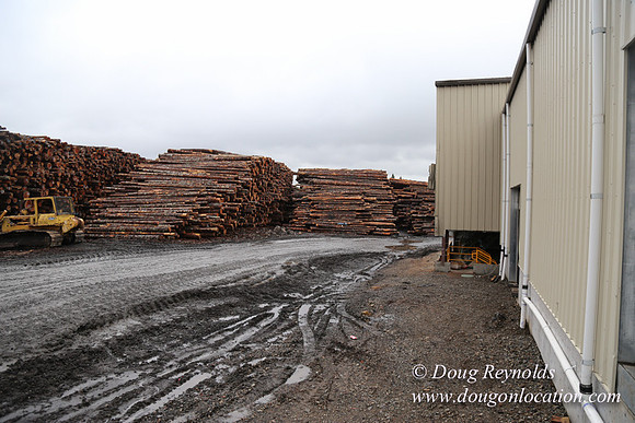 Saw Mill and Lumber Yard