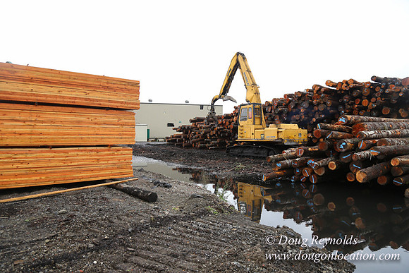 Saw Mill and Lumber Yard
