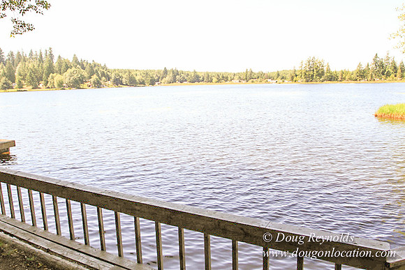 Richter Lake House-8356