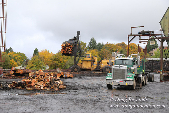 Saw Mill and Lumber Yard
