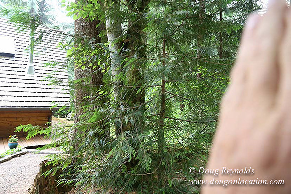 Gary's Cabin-7603