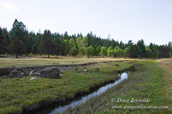 Ranch 18 South side of Hwy  has 2500 Acres of green fields Creeks water crossing Bridges on a Large Lake and miles of Dirt roads Oak trees  Forest land ATV Trails cows