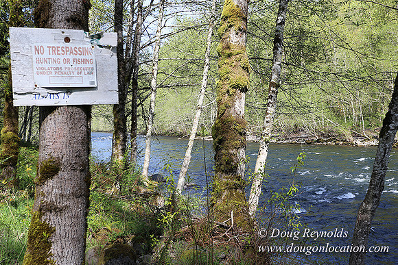 Brians River Side-9866