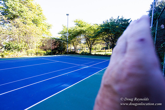 Washington Park Tennis Courts