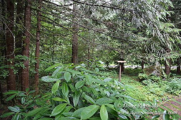 Gary's Cabin-7549