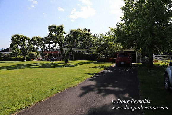 "2 Barns", "2 car garage", "40+ Acres", "PDX Zone", Pool, "White Fence", cows, "farm House", "rap around dive", "well maintained"