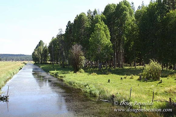 Ranch 18 South side of Hwy  has 2500 Acres of green fields Creeks water crossing Bridges on a Large Lake and miles of Dirt roads Oak trees  Forest land ATV Trails cows