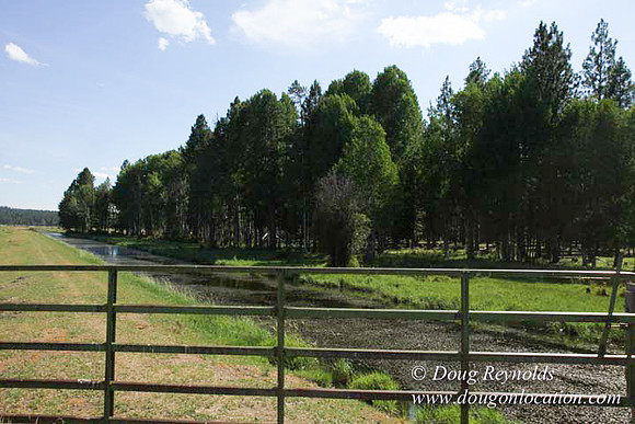 Ranch 18 South side of Hwy  has 2500 Acres of green fields Creeks water crossing Bridges on a Large Lake and miles of Dirt roads Oak trees  Forest land ATV Trails cows