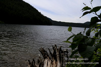 Lost Lake South Side 1-4228