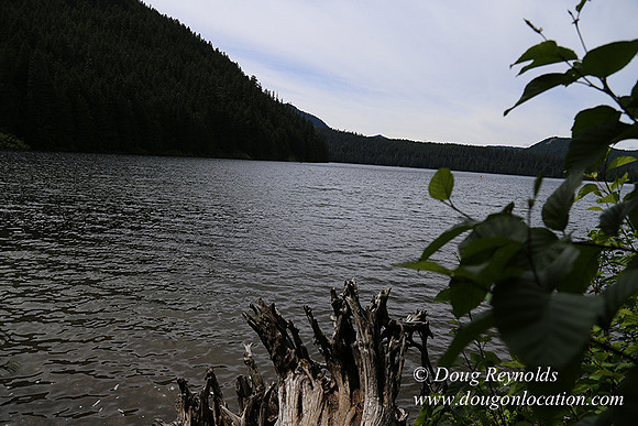 Lost Lake South Side 1-4228