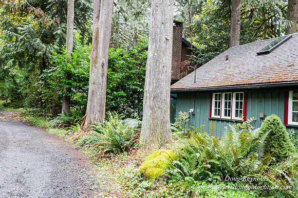 Collins Cabin