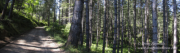 Ranch 6 has 2500 Acres of rolling green hills barns Creeks water crossing Bridges River and miles of Dirt roads Oak trees Cabins Forest land ATV Trails Camping