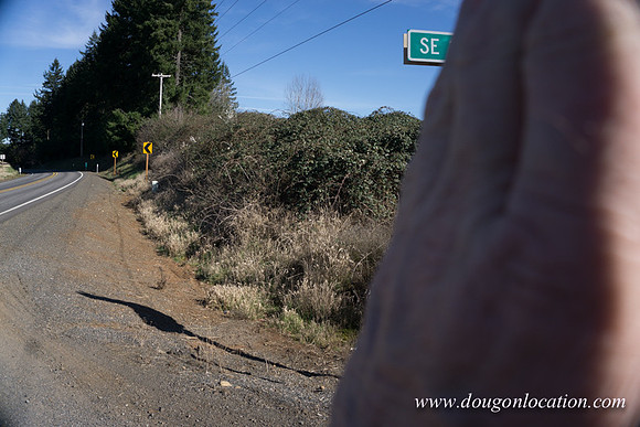 Hwy 211 Sandy-3516