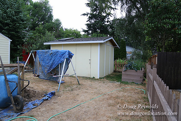 Nathan's Backyard-1724