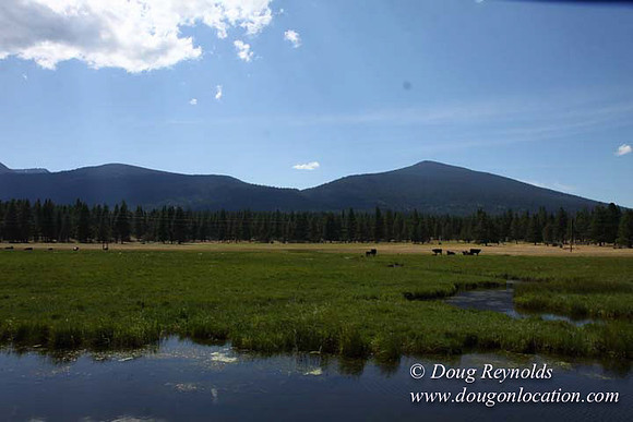 Ranch 18 South side of Hwy  has 2500 Acres of green fields Creeks water crossing Bridges on a Large Lake and miles of Dirt roads Oak trees  Forest land ATV Trails cows
