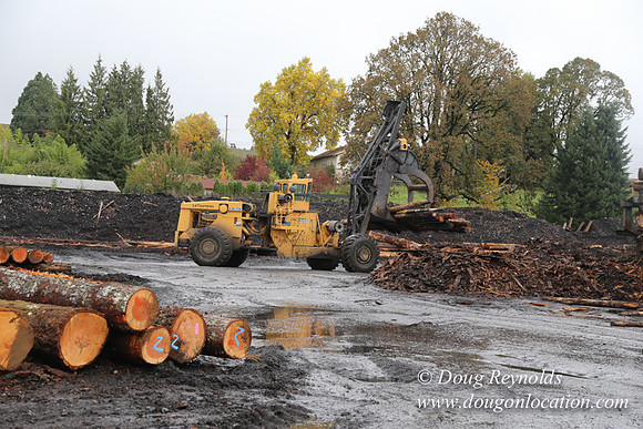 Saw Mill and Lumber Yard