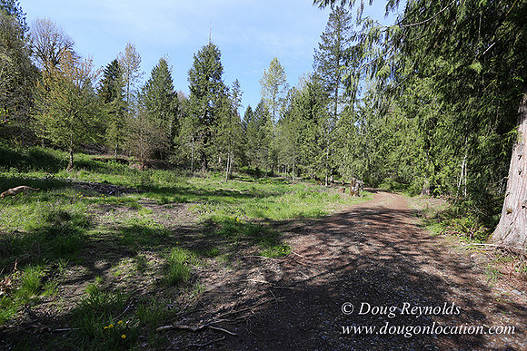 Brians River Side-9876