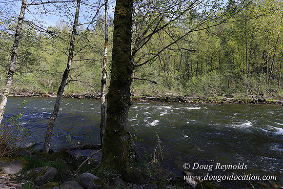 Brians River Side-9869