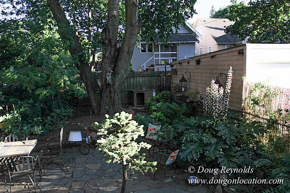 Home" Bungalow, Bee's Back yard Chickens, Small,