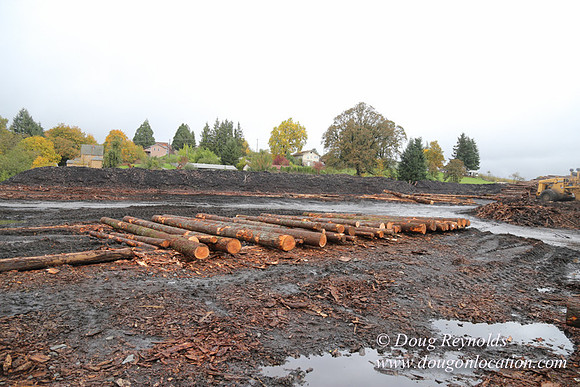 Saw Mill and Lumber Yard