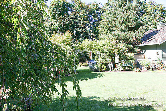 Glinna’s Home Traditional Style County Ranch home, large kitchen great room, 2 car garage on Acreage with large back yard, large front yard, garden, pool, patio, 2 story shop with office,  PDX Zone