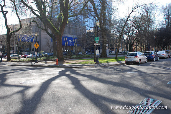 South Park Blocks-0032