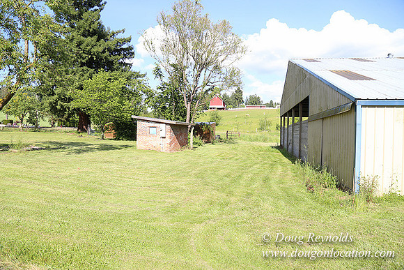 Helvetia rd at Mikes-5998