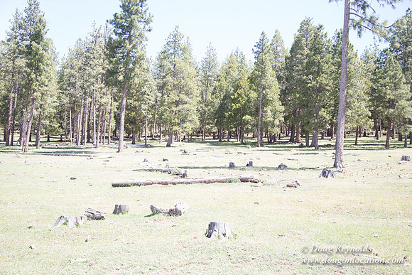 Ranch 18