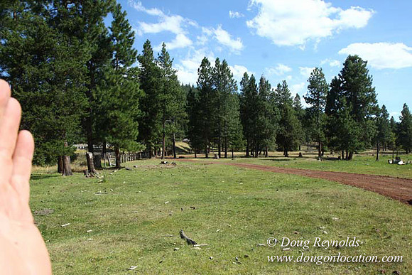 Ranch 18 South side of Hwy  has 2500 Acres of green fields Creeks water crossing Bridges on a Large Lake and miles of Dirt roads Oak trees  Forest land ATV Trails cows