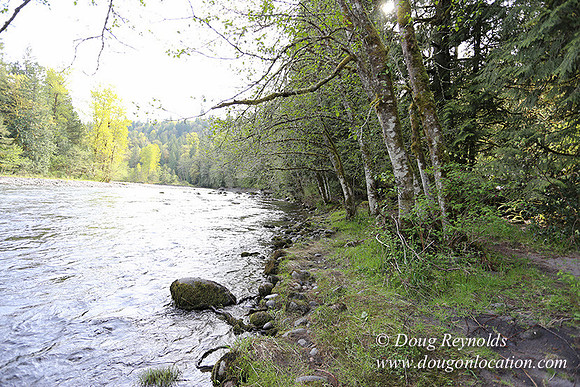 Brians River Side-0013