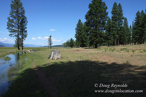 Ranch 18 South side of Hwy  has 2500 Acres of green fields Creeks water crossing Bridges on a Large Lake and miles of Dirt roads Oak trees  Forest land ATV Trails cows
