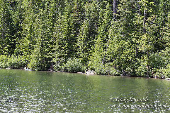 Lost Lake East Side-4074