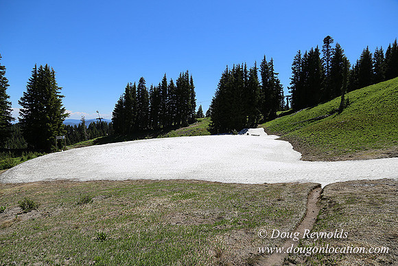 Medow's Snow-5796