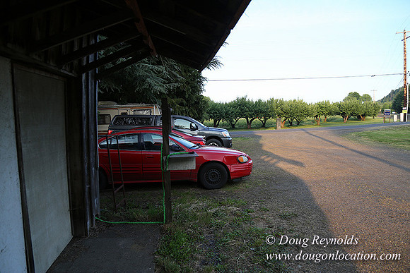 peggy's Produce-5102
