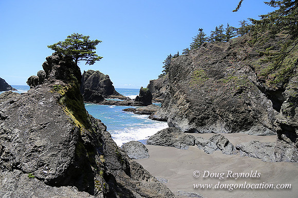 33 Beach SB81-2781