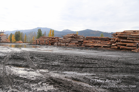 SDS Lumber-1326