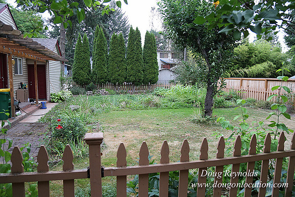 Nathan's Backyard-1733