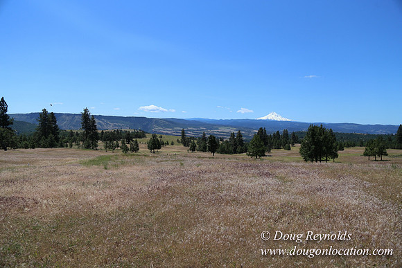 Brothers Ranch-8420