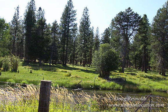 Ranch 18 South side of Hwy  has 2500 Acres of green fields Creeks water crossing Bridges on a Large Lake and miles of Dirt roads Oak trees  Forest land ATV Trails cows