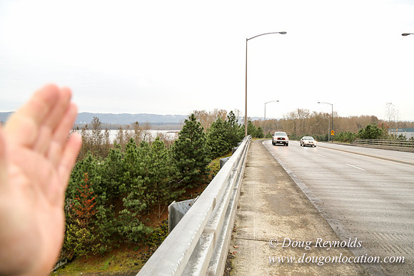 Marine Dr Overpass-5265