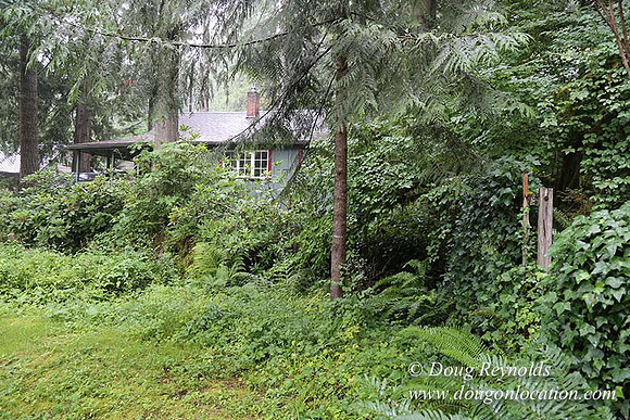 Small, Cabin, Home, River, OR, Oregon, Green, Yard,
