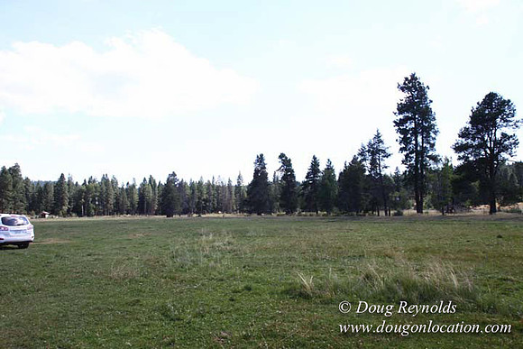 Ranch 18 South side of Hwy  has 2500 Acres of green fields Creeks water crossing Bridges on a Large Lake and miles of Dirt roads Oak trees  Forest land ATV Trails cows