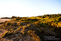OPVPSBSP  Rock Coastal Area