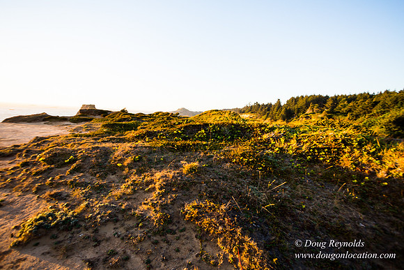 OPVPSBSP  Rock Coastal Area