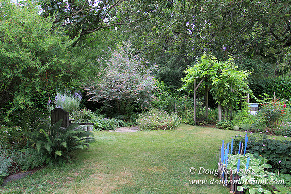 Laura’s Home This is a Portland Bungalow Style small home with a average sized and interesting back yard, nice garden with bee hive’s