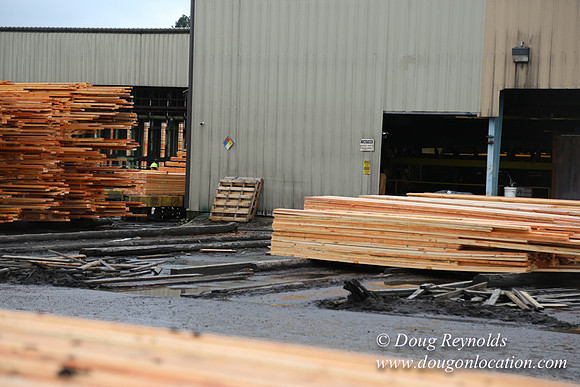 Saw Mill and Lumber Yard